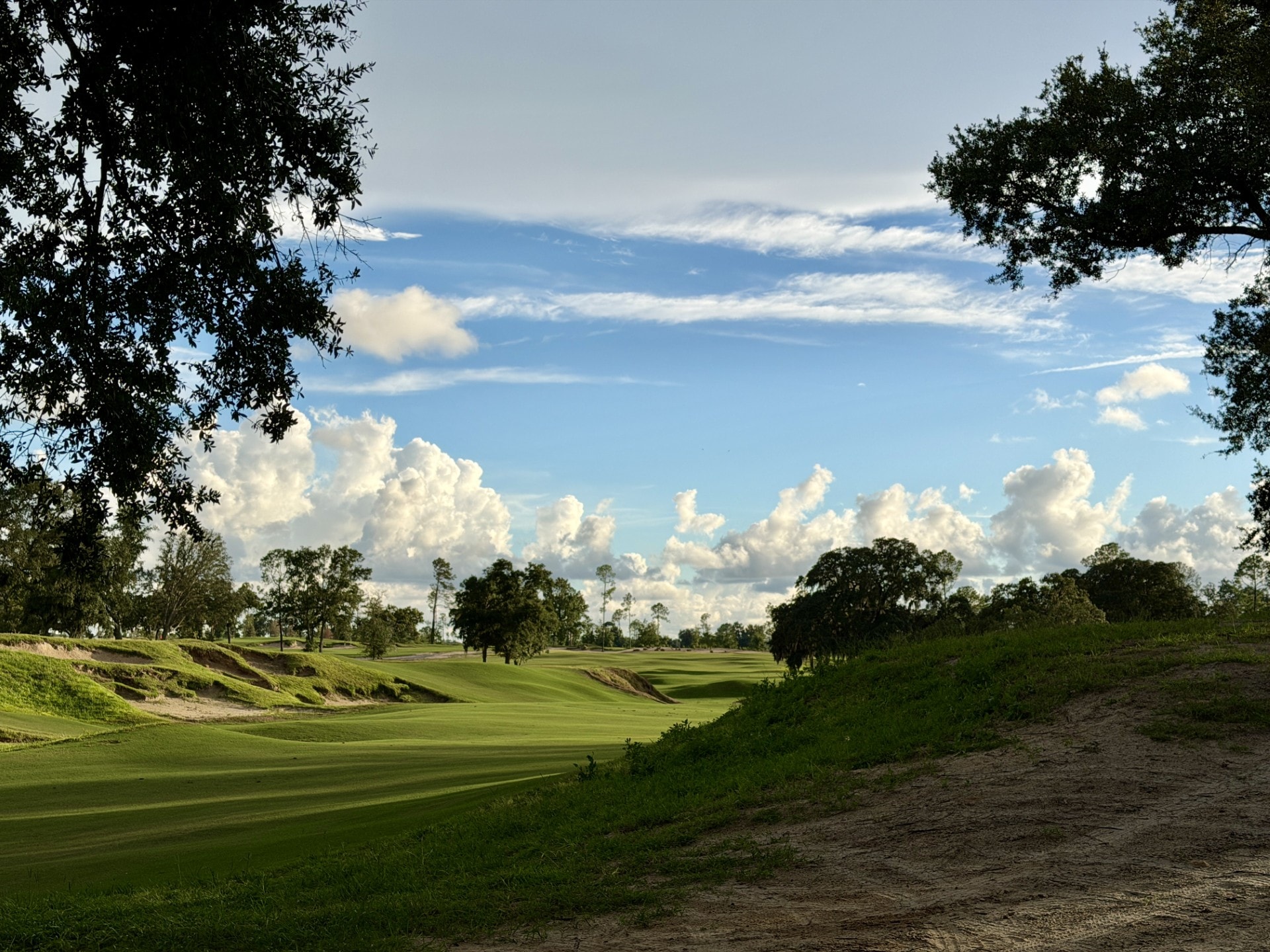 Through the oaks — Florida's hidden gem
